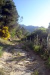 DSC03864.jpg