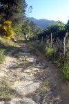 DSC03865.jpg