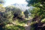 DSC03866.jpg