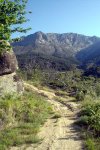 DSC03868.jpg