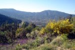 DSC03869.jpg