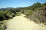 DSC03870.jpg