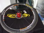 DSC00630.jpg