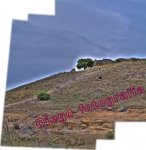 Panorama_sin_tÃ­tulo1.jpg