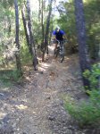 DSC00397.jpg