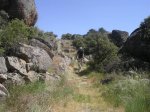 imagenes 07.05.09 051.jpg