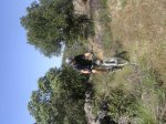 imagenes 07.05.09 053.jpg