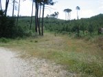 IMG_3829.jpg