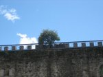 IMG_3854.jpg