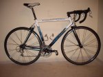 bicis245.jpg