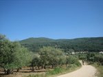 IMG_3865.jpg