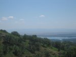 IMG_3876.jpg