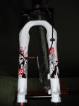 DSC02766.jpg