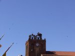 P1000215.jpg
