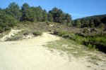 DSC03871.jpg