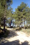 DSC03873.jpg