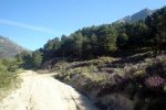 DSC03874.jpg