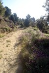 DSC03875.jpg