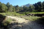 DSC03876.jpg
