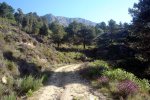 DSC03877.jpg