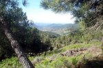 DSC03881.jpg