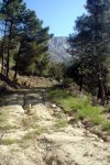 DSC03883.jpg