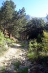 DSC03886.jpg