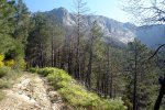 DSC03887.jpg