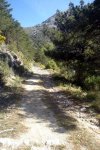 DSC03888.jpg