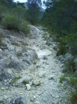 DSC00162.jpg