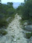 DSC00163.jpg