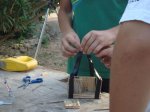 DSC08863.jpg