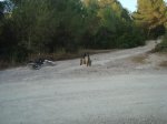DSC08870.jpg