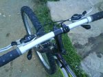 DSC00562.jpg
