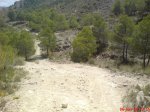 DSC00525.jpg
