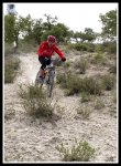 IMG_1150.jpg