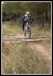 IMG_1154.jpg