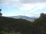 DSCF3337.JPG