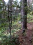 06062009430.jpg