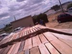 IMAG0227.jpg