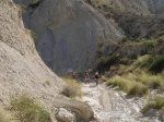 m_100_8621.jpg