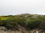 IMG_2695.JPG