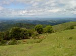 DSC00085.JPG