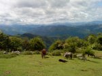 DSC00087.JPG