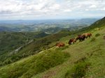 DSC00089.JPG