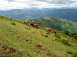 DSC00090.JPG
