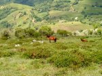 DSC00091.JPG