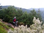 pedri003_1024x768.JPG