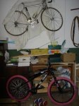 DSC06385.jpg