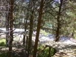 DSC03672.JPG